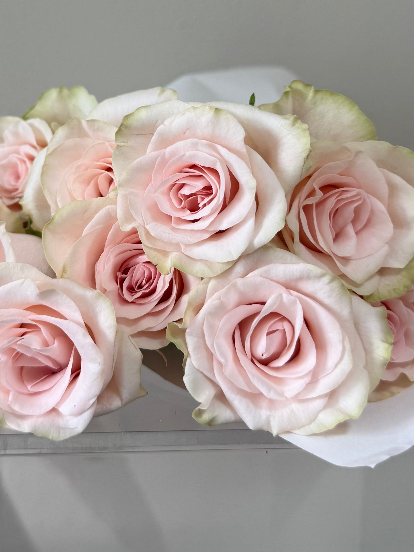 Market Fresh Pink Roses