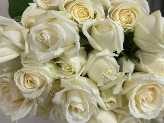 Market Fresh White Roses