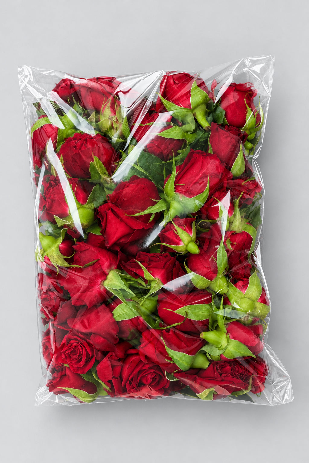 Single colour Fresh Pooja Bloom