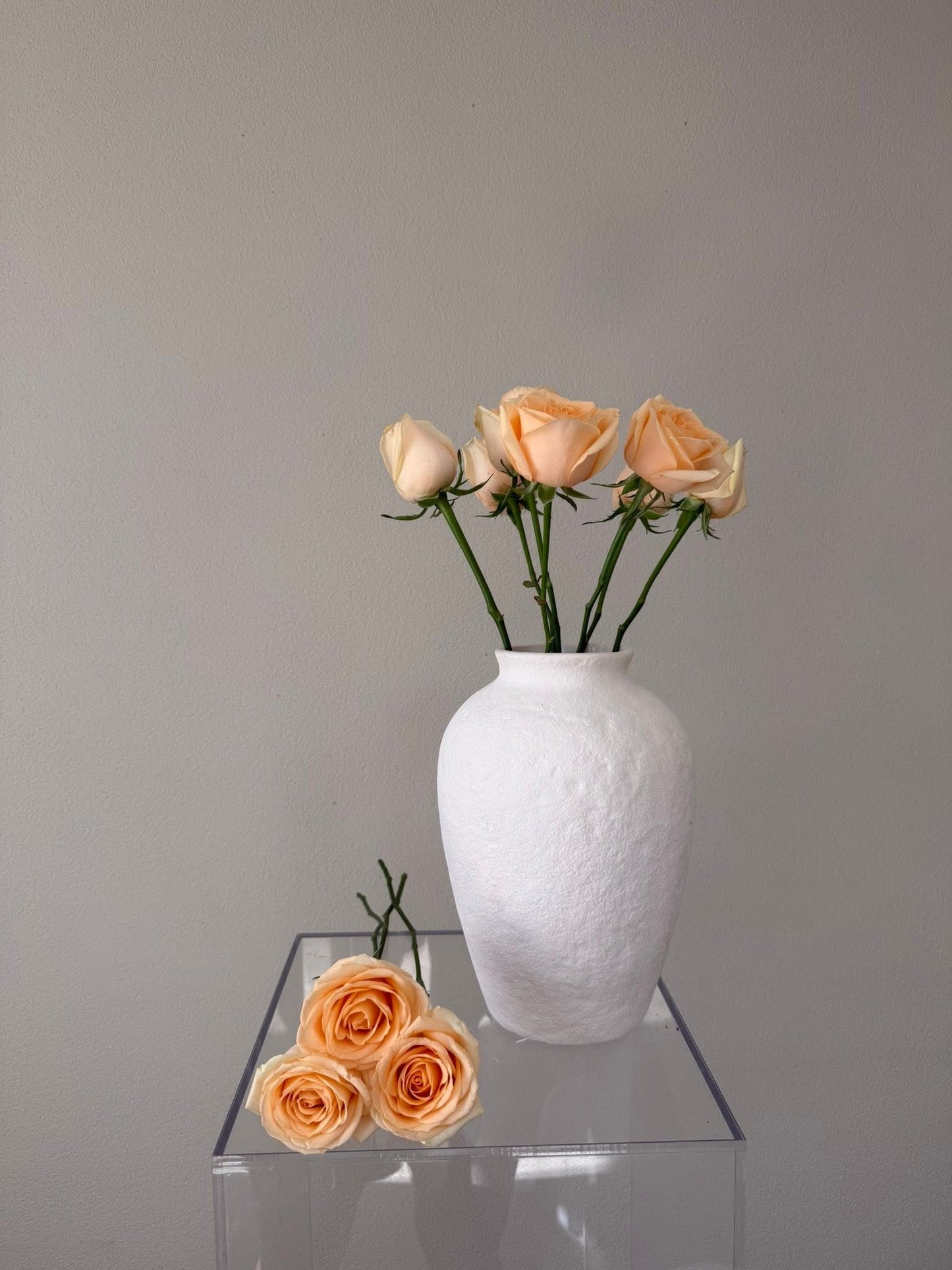 Premium Peach Roses