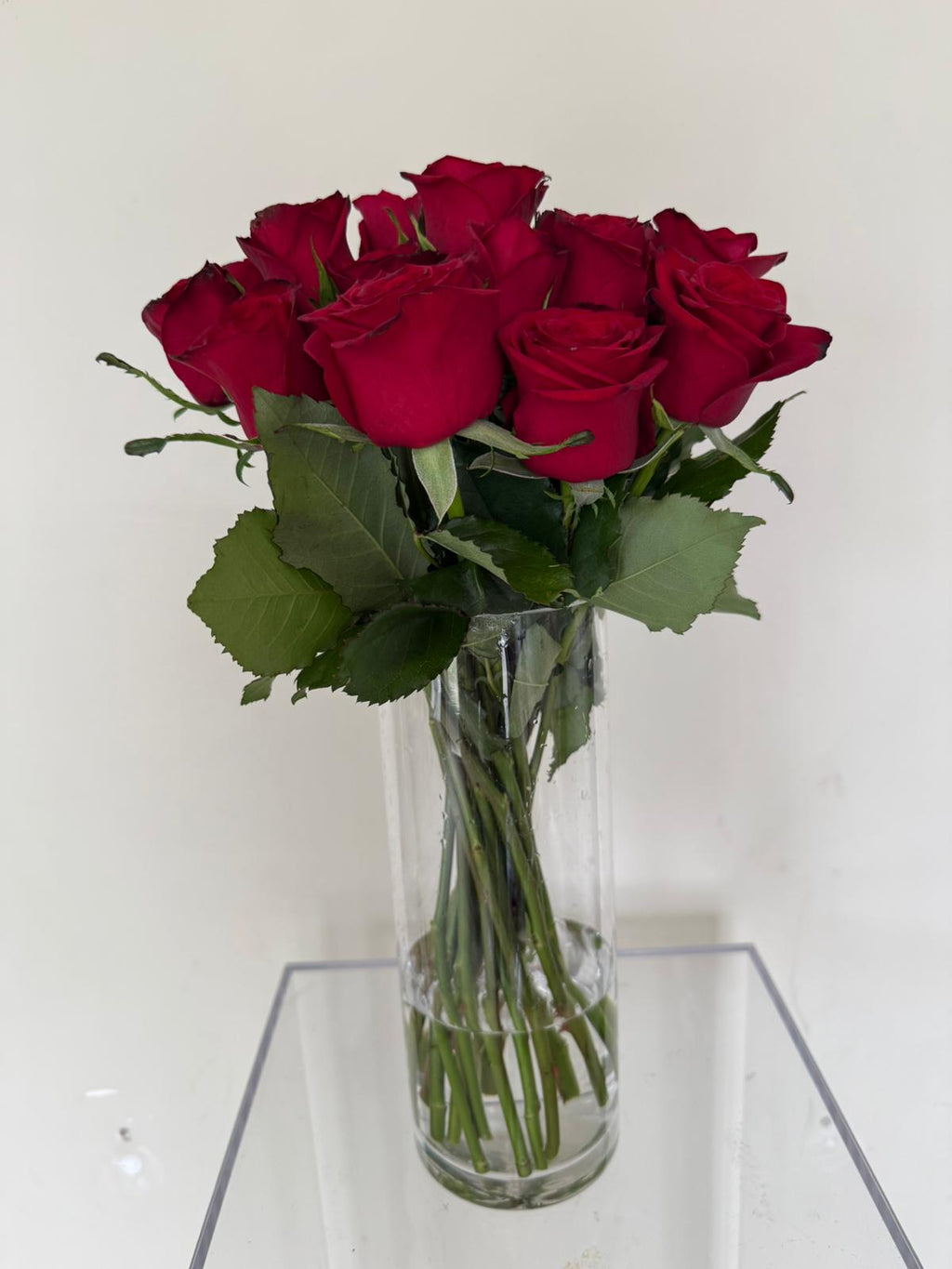 Premium Fresh Red Roses