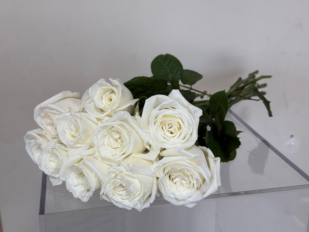 Colombian White Roses