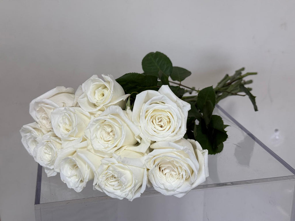 Colombian White Roses