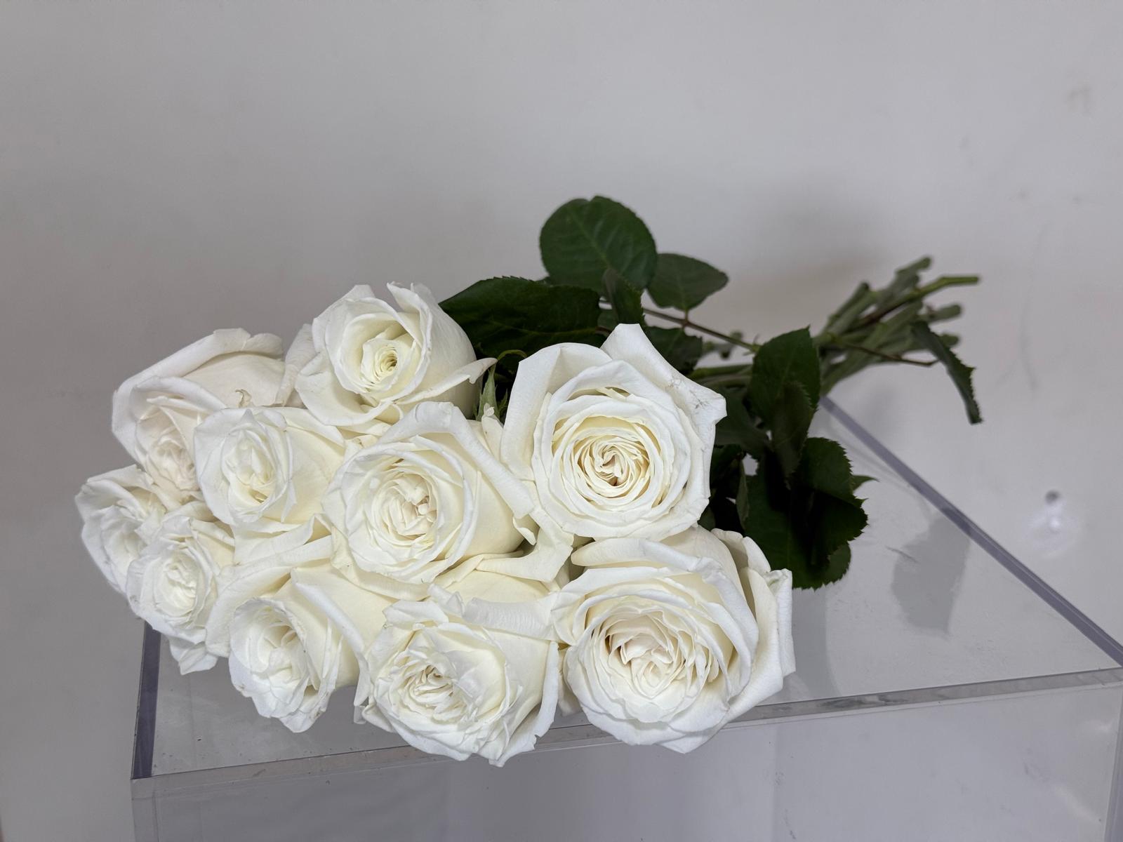 Colombian White Roses
