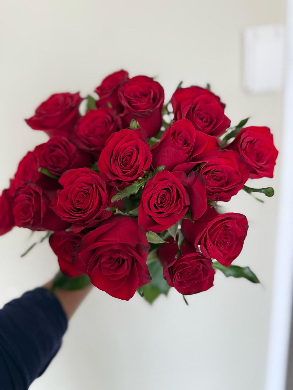 Colombian Red Roses